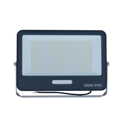 KCD Motion Sensor Outdoor Explosion Proof LED Flood Light 100W Smart Marine Garden Floodlight