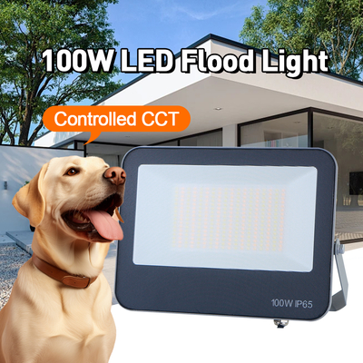 Εξωτερικό φως LED 3CCT 3000K 4000K 6500K Ρυθμίσιμη θερμοκρασία χρώματος IP65 υλικό γκρι αδιάβροχο υψηλής ποιότητας λάμπα